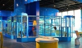 兰州科技馆爆料案件最新,揭秘背后惊心动魄的真相